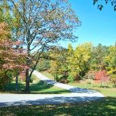 Timmons Park