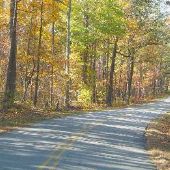Mulligan Ford Road