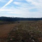 Helen Long  Farms (behind the house)