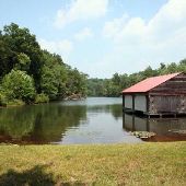 Boy Scout Camp