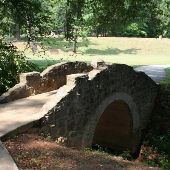 Cleveland Park - Forest