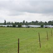 Paul M. Richardson, Jr. Chicken Farm (closed)