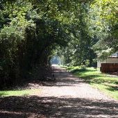Swamp Rabbit Trail-S Furman