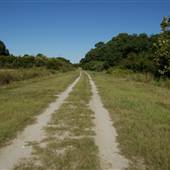 Old Westbank Plantation