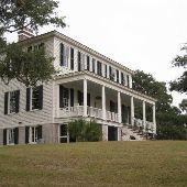 Prospect Hill (Edisto) - Early December