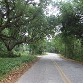 Old Cemetery Rd.