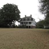 Charleston Area Plantation - March 2011 & 2014