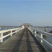 Daufuskie - Melrose Landing
