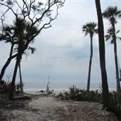 Hunting Island State Park - Eroded Beach