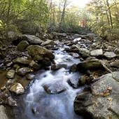 Jones Gap State Park