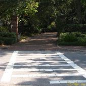 College of Charleston - Walkway (Coming St. to St. Phillip St.)