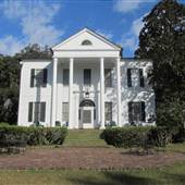 Friendfield Plantation - Interiors