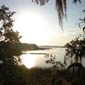 Pinckney Colony