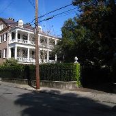 Gardens of Charleston - Anson St. #2