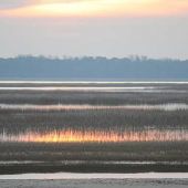 Shellrake lodge - Marsh Flats