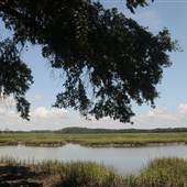 Botany Bay - Ocella Creek