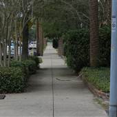 Colonial Street