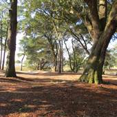 The Links At Stono Ferry - Hole 14