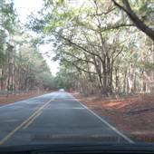 Bears Bluff National Fish Hatchery - Drivearound