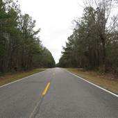 Country Roads - Hwy. 402 between Huger & Cordesville