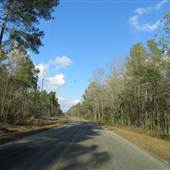 Halfway Creek Road