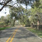 River Road - John's Island