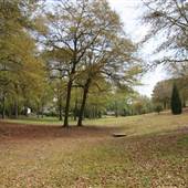 Lester Bates Park
