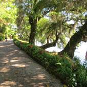 Magnolia Plantation & Gardens MAY LOOKS - Riverside of the Main House