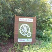 Walnut Hill - Rosebank Farms