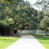 Cherokee Plantation - Golf Club & Roads