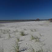 Folly Beach County Park - October 2014