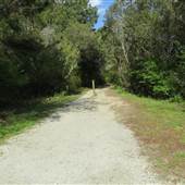James Island County Park - Path - From Dog Park Around an Island
