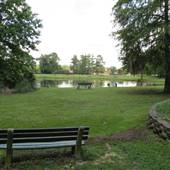 Edisto Gardens - POND