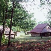 Wilson Farm