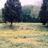 Lewis Property - Pembroke