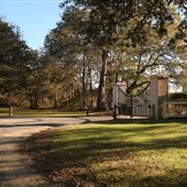 Wando Farms Moore House - January 2018 - Drive to Main House