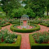 Furman University - Janie E Furman Rose Garden