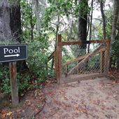 The Inn At Middleton Place - Pool