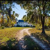 Twelve Oak Estate