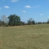 Darby Farms - Pastures