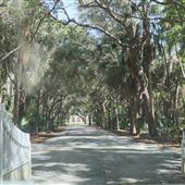 Vanderhorst Plantation Overview - April 2019