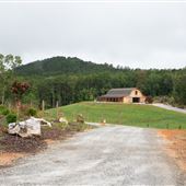 Arabella Farm