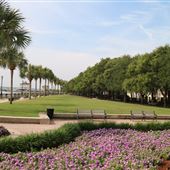 Charleston Waterfront Park - Central Greenway  (June 2019)