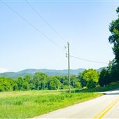 Terry Creek Road