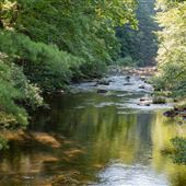 Duke Energy - Whitewater River Access