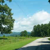 Lewin Way