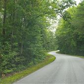 Jumping Branch Road