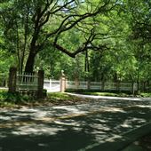 Drayton Hall - Driving In