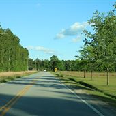 Givhans Ferry Road