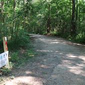 Laurel Hill County Park - Yellow Trail